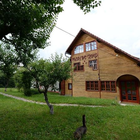 Pensiunea Flori De Camp Vatra Dornei Bagian luar foto