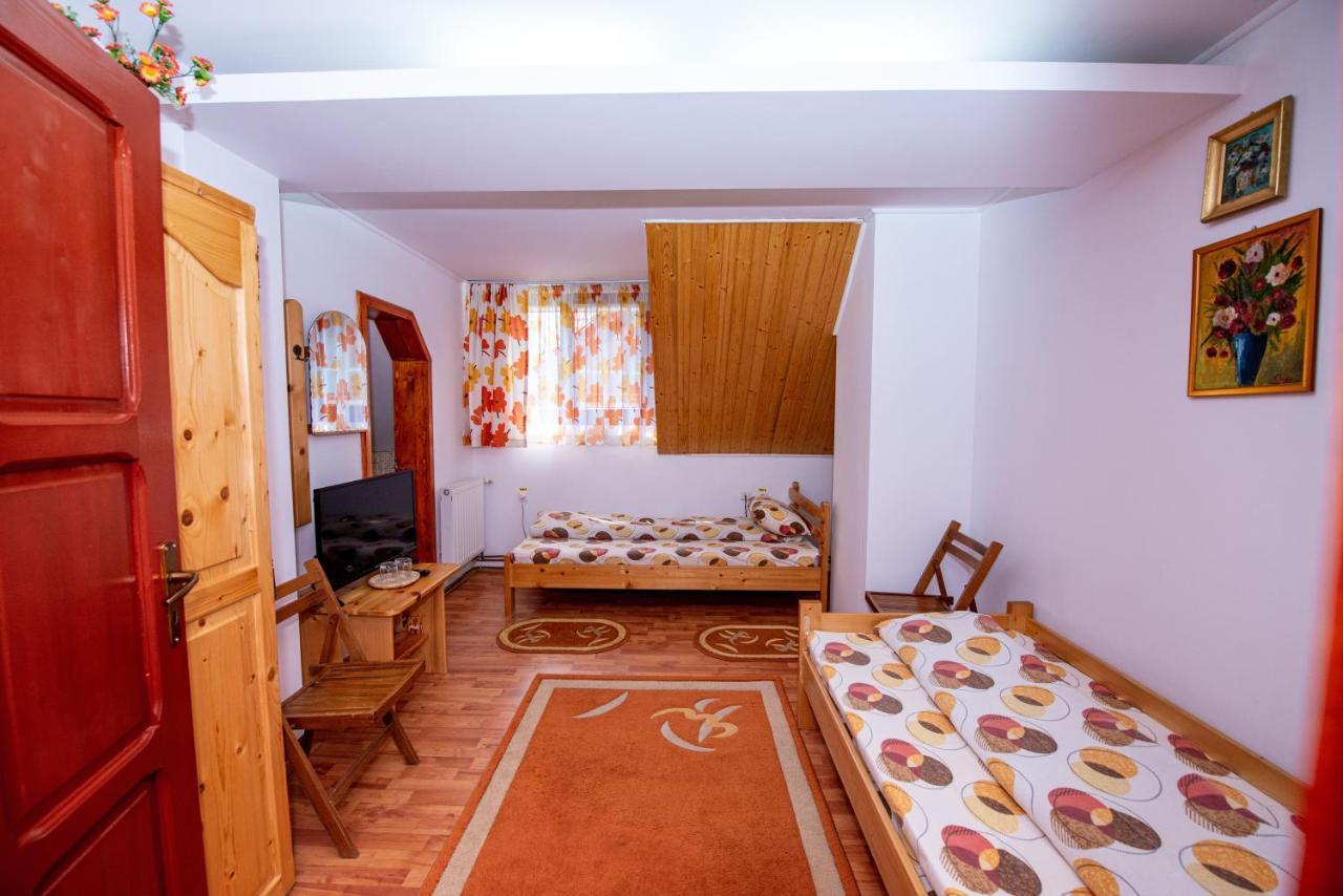 Pensiunea Flori De Camp Vatra Dornei Bagian luar foto