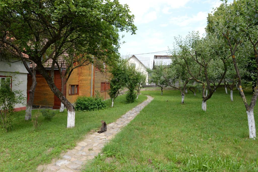 Pensiunea Flori De Camp Vatra Dornei Bagian luar foto