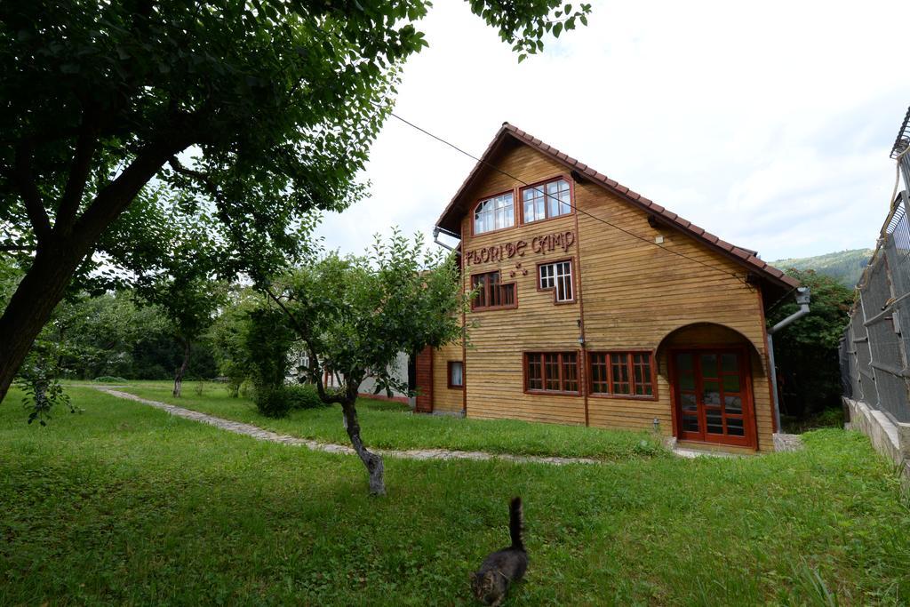 Pensiunea Flori De Camp Vatra Dornei Bagian luar foto