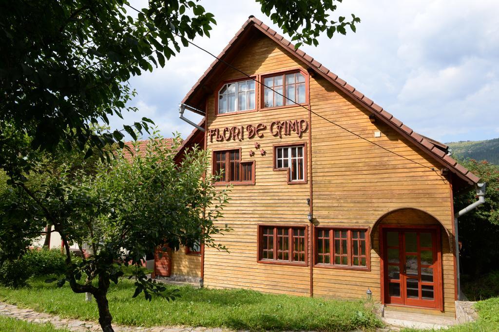 Pensiunea Flori De Camp Vatra Dornei Bagian luar foto