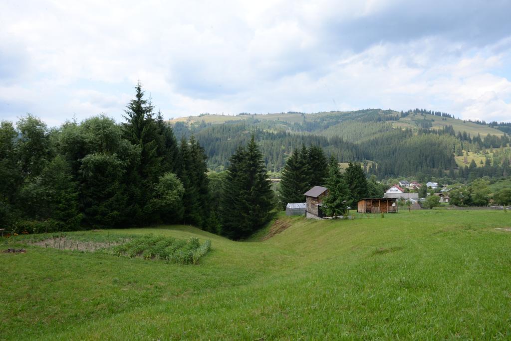 Pensiunea Flori De Camp Vatra Dornei Bagian luar foto