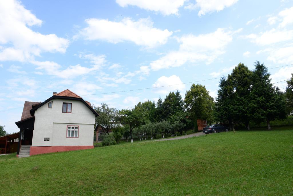 Pensiunea Flori De Camp Vatra Dornei Bagian luar foto