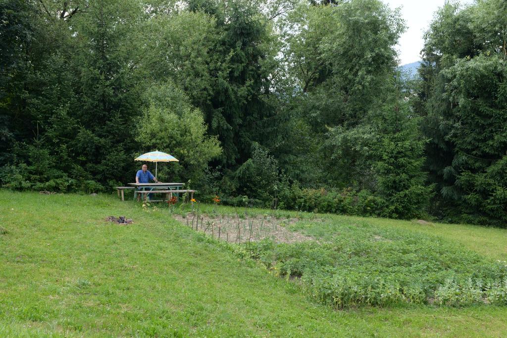 Pensiunea Flori De Camp Vatra Dornei Bagian luar foto