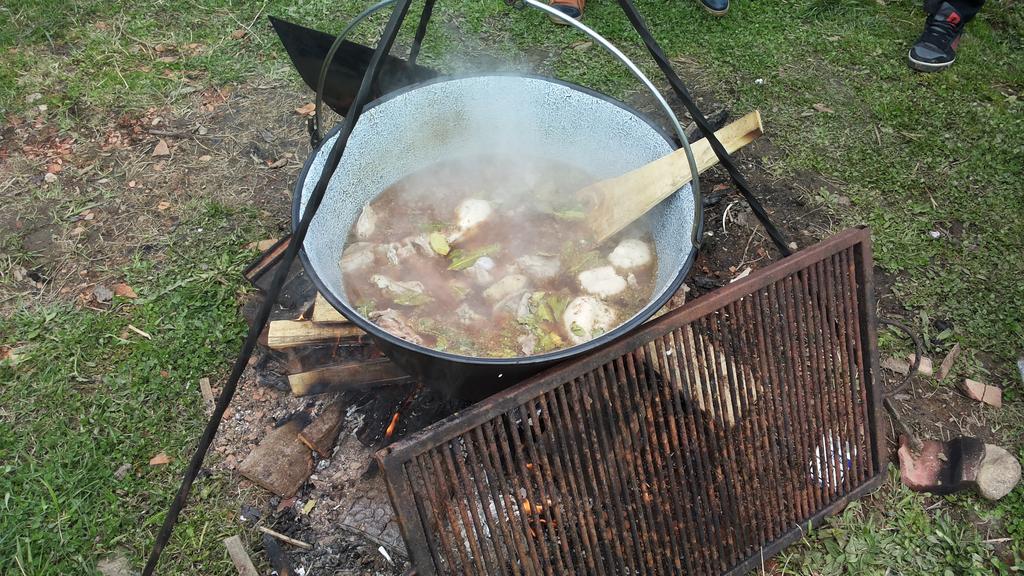 Pensiunea Flori De Camp Vatra Dornei Bagian luar foto