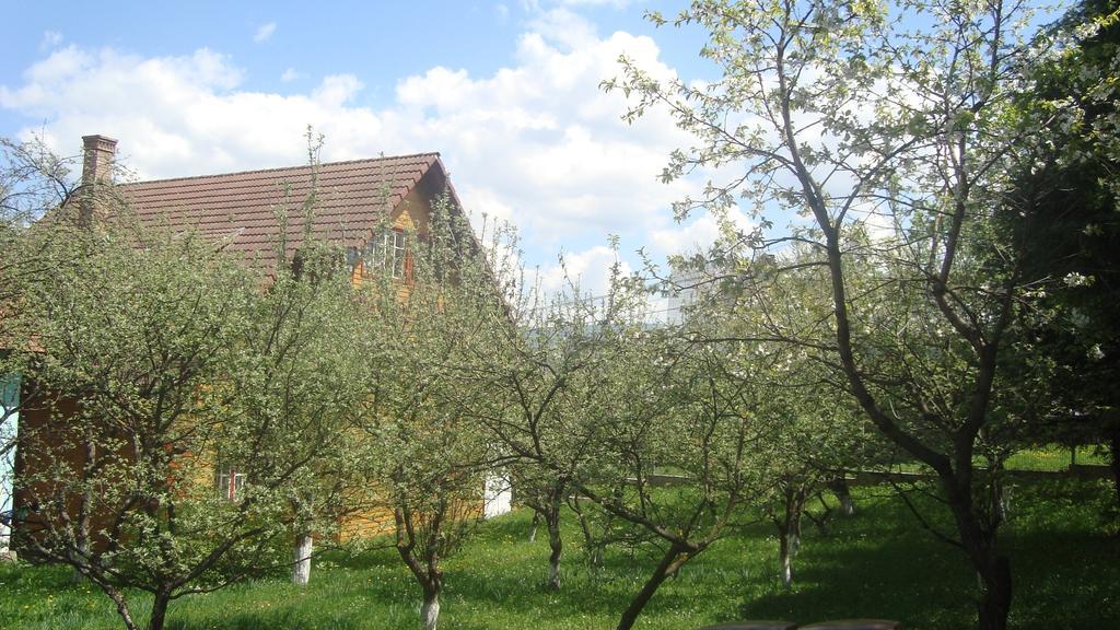 Pensiunea Flori De Camp Vatra Dornei Bagian luar foto