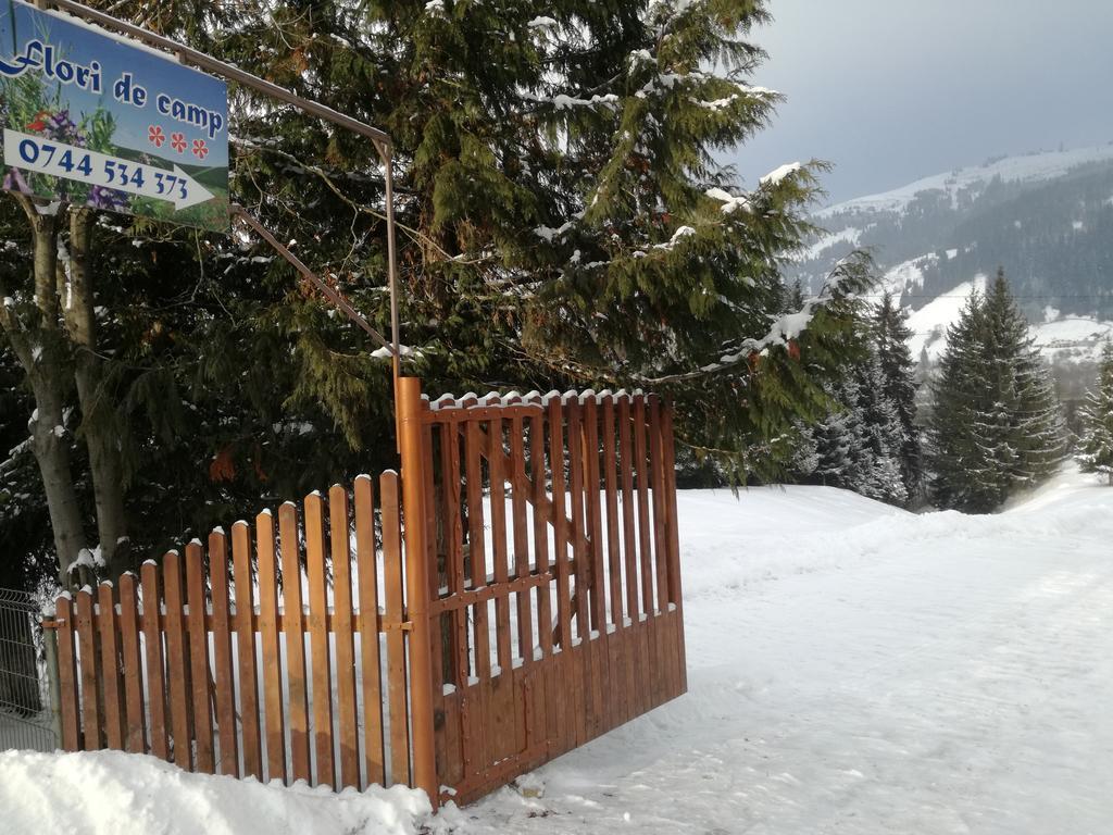 Pensiunea Flori De Camp Vatra Dornei Bagian luar foto