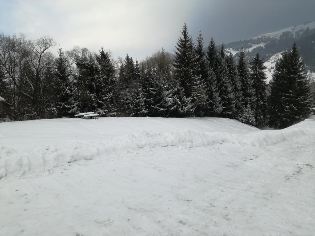 Pensiunea Flori De Camp Vatra Dornei Bagian luar foto