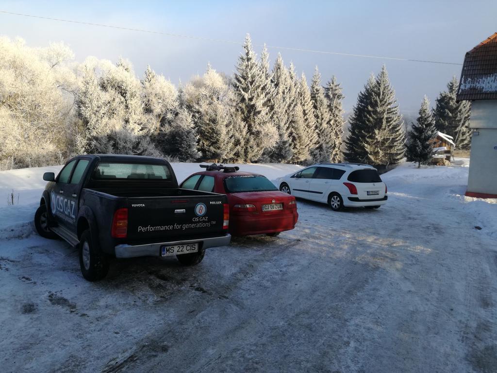 Pensiunea Flori De Camp Vatra Dornei Bagian luar foto