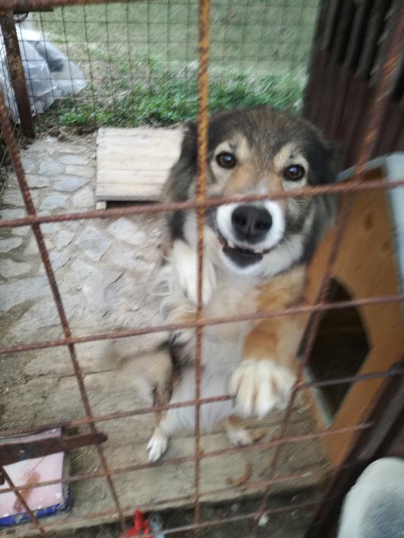 Pensiunea Flori De Camp Vatra Dornei Bagian luar foto